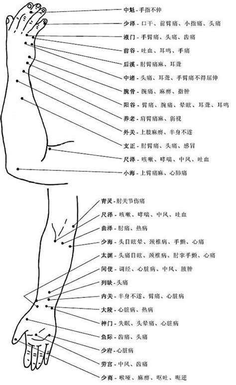 人身穴位圖|史上最全！人体最全穴位图及作用功效（建议收藏）